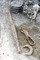 Vue de détail du mobilier métallique accompagnant un défunt inhumé dans une tombe à char à Attichy (Oise), IIIe s. avant notre ère, 2009.   Il se compose d'armes (épée et lance, dont la pointe apparaît ici), d'un rasoir et d'une paire de force qui évoquent la toilette ou une activité artisanale (travail de la laine ou des peaux).