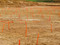 Les piquets orange délimitent les empreintes laissées par le comblement des anciennes mines d'extraction du minerai de fer sur le site des Rochardières à La Milesse (Sarthe), 2012.