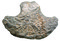 Objet symbolique en calcaire gris, entre 800 et 400 avant notre ère, Baie Orientale 1, Saint-Martin (Antilles).