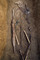 Détail d'une épée et d'un bouclier dont il ne reste que la gouttière périphérique, ou  orle , et le renfort central, IVe s. avant notre ère, Buchères (Aube), 2013.  