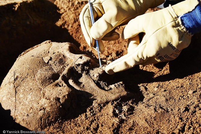 Dégagement du crâne d'un individu inhumé dans le cimetière du village de Saint-Gilles-de-Missignac, haut Moyen Âge, Aimargues (Gard), 2012.