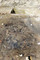 Un des buchers funéraires en cours de fouille de la nécropole datée du tout début de l'époque romaine (30 avant notre ère), découverte à Troyes (Aube), 2013.   Ils contiennent principalement de la vaisselle en céramique, des fragments d’amphores concassées, des monnaies gauloises et des ossements humains ou d’animaux brûlés.
