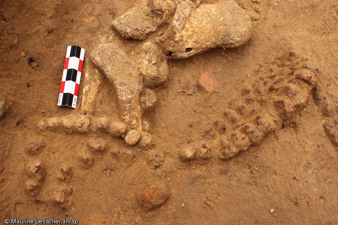 Détail des semelles cloutées de chaussures dans l'une des sépultures, Ier-IIIe s. de notre ère, Portbail (Manche), 2012.