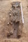 Sépulture en cercueil avec une fiole déposée aux pieds du défunt, Ier-IIIe s. de notre ère, Portbail (Manche), 2012.
