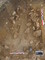 Vue générale de la sépulture 327 de la nécropole de la  Haute-Cour  à Esvres (Indre-et-Loire), 2013.L'amphore visible à droite de la photo est une amphore à vin de type Pascual 1 importée de la province romaine de Tarraconaise.