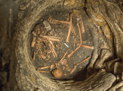 Vue générale d'une passe de décapage avec connexions partielles des membres supérieurs et inférieurs ainsi qu'un crâne et une mandibule, VIIIe-Xe s., Entrains-sur-Nohain (Nièvre), 2013.