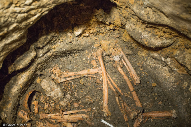 Vue de détail avec plusieurs membres inférieurs en connexion, un crâne et une mandibule, VIIIe-Xe s., Entrains-sur-Nohain (Nièvre), 2013.