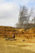 Fouille en cours sur le site de Beslan à La Milesse (Sarthe), 2012.L'opération a révélé la présence d'une grande mine de fer exploitée depuis la protohistoire. Les piquets orange délimitent le comblement des anciennes fosses d'extraction du minerai.