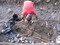 Dégagement d'une sépulture à l'Anse Bellay (Martinique), 2013.  L'individu repose sur le dos, la tête à l'ouest. Son bras gauche a été emporté par la mer. La population du cimetière comprend des adultes, jeunes et âgés, des deux sexes, des adolescents et un jeune enfant. 