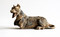 Statuette de dogue allemand en métal moulé portant des traces de peinture, découverte dans une fosse du camp de repos allemand occupé durant toute la Grande Guerre à Isles-sur-Suippe (Marne), 2014.