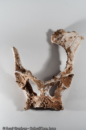 Bassin de cheval, découvert sur un site néandertalien à Quincieux (Rhône), 2014.