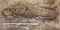 Sépulture 2073 en cours de fouille. Individu masculin inhumé en décubitus, entravé au cou et à la cheville droite, découvert dans une nécropole antique à Saintes (Charente-Maritime).  L'entrave du cou se compose de 2 parties, terminées par un  oeil  à l'une des extrémités, ce qui permet la mobilité des deux brins.  Celle de la cheville d'un anneau en fer fermé par enroulement. Les 2 extrémités du jonc sont solidarisées par rivetage. Un second anneau a été passé dans l'entrave avant sa fermeture. Ce mécanisme est donc inamovible et seule une découpe permet de libérer l'individu. 